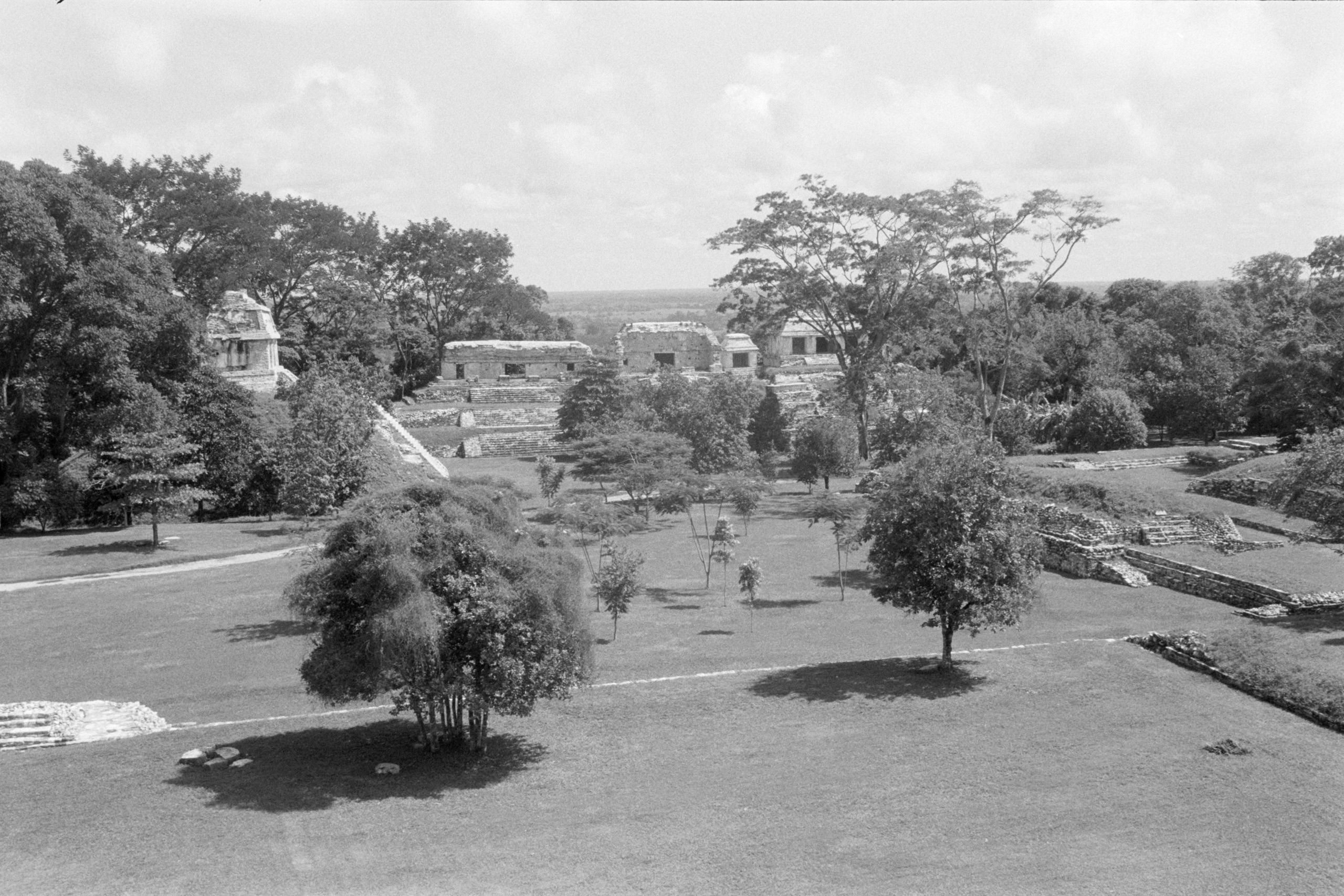 AHP FilmScan 240807 0651